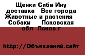 Щенки Сиба Ину доставка - Все города Животные и растения » Собаки   . Псковская обл.,Псков г.